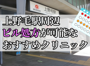 上野毛駅周辺のピル処方婦人科おすすめクリニック10選を紹介しています。